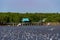 Pavilion on the coast and mangrove forest with Several seagulls.