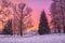 Pavilion Grotto and trees of the park against the pink sunset sky