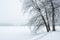 Pavilion Grotto in Tsarskoye Selo in a snowy haze