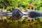 Pavilion, rainforest and stone reflecting in water of lake in tropical mountain