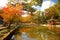 Pavillion in autumn pond