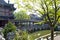 Pavillion, Covered Bridge and pond, Yuyuan Gardens Shanghai, china 