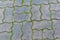 Paving blocks with moss can be used as background