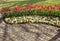 Paving pattern with red tulips and white flowers