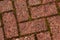 Paving section showing pattern of bricks