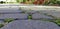 Paving slabs with a grass. Cobblestone striped pathway. Detail of ancient road surface . Grey paving stones closeup.