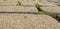 Paving slabs with a grass. Cobblestone striped pathway. Detail of ancient road surface . Grey paving stones closeup.