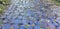 Paving slabs with a grass. Cobblestone striped pathway. Detail of ancient road surface . Grey paving stones closeup.