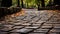 Paving Stones in forest