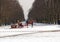 PAVLOVSK, RUSSIA. Driving of children in sledge on the avenue of the winter park