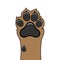 Paw dog up pet