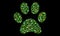 Paw made with ecological symbols on dark background