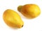 Paw Paw or Papaya, carica papaya, Exotic Fruit against White Background