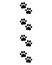 Paw for pets, dog or cat. Footprints paws. Cute animal footprint. Pattern foot pet for design prints. Black silhouette shape steps