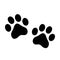 Paw prints