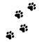 Paw prints