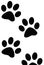 Paw Prints of Dog or Cat