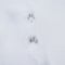 Paw prints in the snow, animal tracks, winter scene.