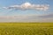 Pawnee National Grassland in springtime