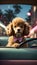 Paws and Pedals: Canine Chic and Adventure Behind the Car\\\'s Steering