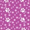 Paws seamless violet background, paw pattern, Print