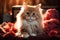 Pawsitively adorable A sweet kitten nestled with a heart radiating love