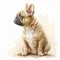 Pawsome Pet: Watercolor French Bulldog Puppy for Your Designs AI Generated