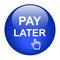 Pay later button icon