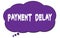 PAYMENT DELAY text written on a violet cloud bubble
