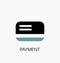 Payment icon. Credit or debit card payment type symbol vector il