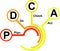 PDCA icon - vector