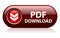 Pdf download button