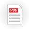 PDF icon isolated. File format. Vector