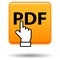 Pdf web icon orange square button