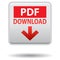 Pdf web icon square button