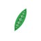 Pea pod, animated vector illustration