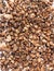 Pea shingle gravel