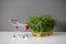 Pea shoots and empty shopping cart, microgreen sprouts on white table on gray wall background