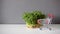 Pea shoots and empty shopping cart, microgreen sprouts on white table on gray wall background