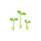 Pea sprouts flat vector doodle illustration. Microgreens vegetables healthy food clipart