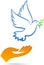 Peace dove with hand