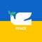Peace dove with olive branch. Simple vector illustration with white pigeon on Ukrainian flag for Ukraine and Russia conflict