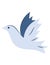 Peace dove silhouette in blue colors. Dove of peace, symbol of peace, peaceful bird. Flat design, closeup vector