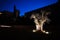 Peace in Jerusalem - Old city walls with Olive tree at dawn, Jerusalem