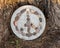 Peace sign formed by relief of small rocks on concrete in the tiny West Texas town of Marfa.