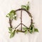 Peace sign, symbol of natural material - flowers, leaves, wooden sticks on tissue white background.