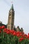 Peace Tower and Tulips