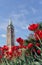 Peace Tower and Tulips in Ottawa