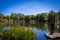 Peace, tranquility and calmness as a boy fishes in the lake on a warm summers day