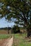 Peace tree Hougoumont Farm, Waterloo battle Waterloo, Belgium